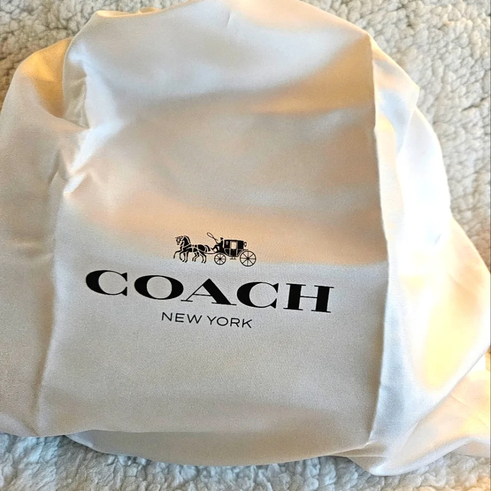 🎀Authentic Coach Rogue 25 In Colorblock✨️ - Picture 3 of 15